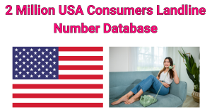 Read more about the article 2 Million USA Consumers Landline Database: Perfect for Telemarketing and Direct Mail